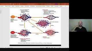 Lesão dor inflamação e reparo tecidual [upl. by Renaxela]
