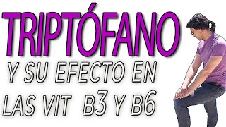 Relación del Triptófano con las vitaminas B3 y B6 [upl. by Miof Mela]