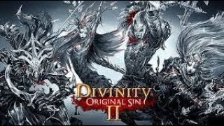 Divinity Original Sin 2 Walkthrough Shadow Over Driftwood QuestWreckers Cave Guide Part 2 [upl. by Ynej32]