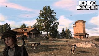 1 LawStar  Red Dead Redemption II  La messe du Père Lebel [upl. by Annaeirb]