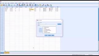 Levels of Measurement in SPSS Nominal Ordinal amp Scale [upl. by Ethe109]