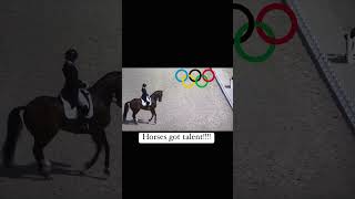 Olympic Horse Walking [upl. by Cown]