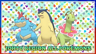 How To Evolve Pokémon  Generation 2 Johto Region Animated 3D Regular Sprites [upl. by Blackmun]