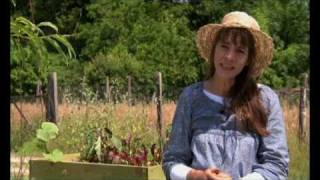 les potagers en carrés surélevés au quotpotager en carrés à la françaisequot ® [upl. by Franzen133]