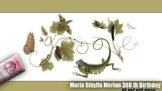 Maria Sibylla Merian  Google Doodle HQ [upl. by Pirali]