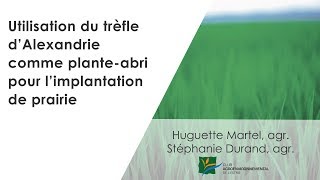 Sommaire de recherche – Utilisation du trèfle d’Alexandrie comme planteabri [upl. by Ueik308]