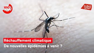 “Il y a un lien très étroit entre l’environnement et les nouvelles maladies infectieuses” [upl. by Onairpic]