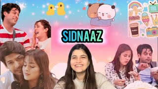 SidNaaz Cute Moments  SidharthShukla  ShehnaazGill  Biggboss13 sidharthshukla sidnaaz [upl. by Neva]