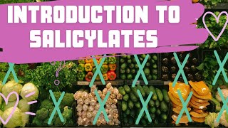 What are salicylates and why do people avoid them [upl. by Botnick652]