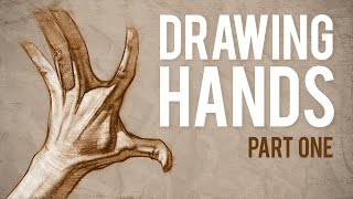 How to Draw HANDS  Muscle Anatomy of the Hand [upl. by Thier]