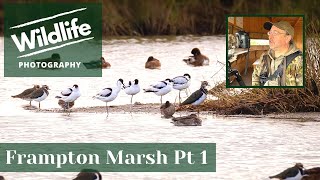 FRAMPTON MARSH part 1 UK WILDLIFE and NATURE Photography [upl. by Nepsa]