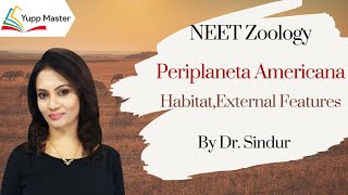 Periplaneta Americana 1 Habit Habitat  NEET ZoologyClass XI English DrSindur [upl. by Giffie863]