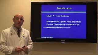 Treatment for Testicular Cancer Dr Mark S Litwin  UCLAMDChat [upl. by Vyner26]