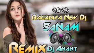 SANAM DJ SONG BAGANIYA NEW REMIX SONG BY DJ ANANT ASSAM [upl. by Martie98]