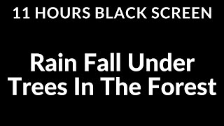 11 Hours Black Screen RAIN Falling under Trees in the Forest Sound For Sleeping  Sleep Hygiene [upl. by Eido]