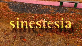 sinestesia [upl. by Aikam]