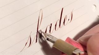 Satisfying Calligraphy Compilation by Charlart Script  Wait for the END [upl. by Estes]