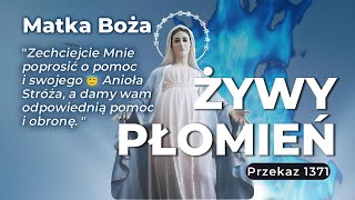 Zechciejcie Mnie poprosić o pomoc i swojego Anioła Stróża a 😇🛡️  Żywy Płomień  Przekaz nr 1371 [upl. by Magdalen638]