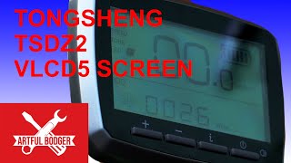 How to configure the screen for the Tongsheng TSDZ2  VLCD5 [upl. by Teeniv]