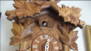 23 cuckoo bird calls in 50 seconds  Cuckoo Clock Coo Cooquot Compilation [upl. by Elacsap36]