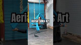 Aerial Silks Playtime aerialist aerialsilks aerialart [upl. by Karlyn]