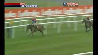 Punchestown World Series Hurdle 2012 [upl. by Scheer593]