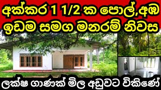 අක්කර 15 ක ඉඩම හා නිවස ඉක්මණින් විකිණේ  Pol idam  Coconut land  Land for sale  House for sale [upl. by Skipper]