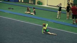 Mercedes  Level 5 Floor at Disney 2010 Meet [upl. by Enitsirk103]