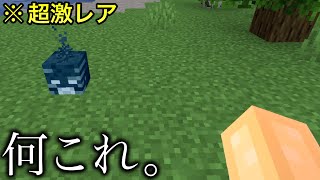 【マイクラ】通常壊せないブロックが 〜知っていると面白い超絶雑学8選〜 【マインクラフト】【ウラ技】【検証】【隠し要素】 [upl. by Faline187]