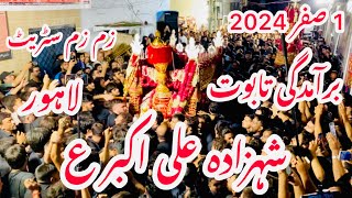 1 Safar 2024  Bramdagi Taboot Mola Ali Akbar as  Zam Zam Street Lahore [upl. by Stephie357]