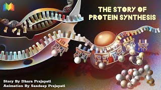 The Story Of Protein Synthesis [upl. by Kawasaki]