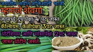 शेवग्याचे आयुर्वेदिक गुणधर्मPowerful Health Benefits Drumstick In MarathiImmunity Booster Shevga [upl. by Kevon]