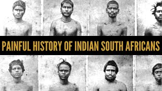 Indian South Africans The painful story of indentured labourers  African Biographics [upl. by Josee]