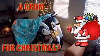 A Grom for Christmas Gromies back  how to get a Grom in your house [upl. by Airdnaxila67]