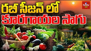 రబీ సీజన్ లో కూరగాయల సాగు Rabi season  HMTV Agri [upl. by Hassin37]