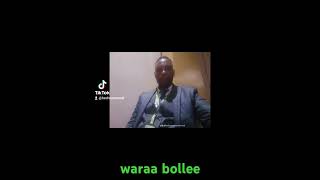 Warraa Bollee [upl. by Llorre]