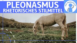 Pleonasmus  Was ist ein Pleonasmus Erklärung Wirkung amp Beispiele  Rhetorisches Stilmittel [upl. by Connie13]