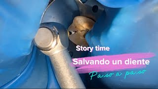 Story time Reconstrucción de un Diente con Caries dental profunda Endodoncia pasó a paso [upl. by Nnauol]