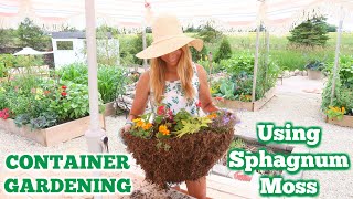 Container Garden Recipe  How To Use Sphagnum Moss wWire Container  Wall Hanger  FullPart Sun [upl. by Alfonse]