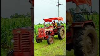 tractor Mahindra 275di sarpanch Pro shorts ❤️ [upl. by Henrik]