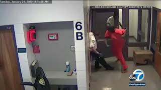 PRISON FIGHT Florida inmate punches deputy multiple times in face  ABC7 [upl. by Haas]