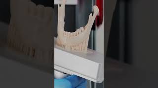 Flashforge Focus 6K resin 3Dprinting timelapse with Liqcreate [upl. by Anai]