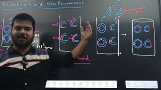 RECOMBINANTNON RECOMBINANTTRANSFORMANTNON TRANSFORMANTBIOTECHONOGY CLASS12NEET [upl. by Saduj]