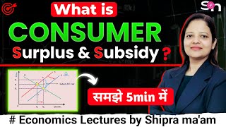 Effect Of Subsidy On Consumer Surplus  Microeconomics  Shipranomics [upl. by Ylatfen]