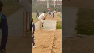 Good Wicket keeping cricket hardballmatch [upl. by Yespmed]