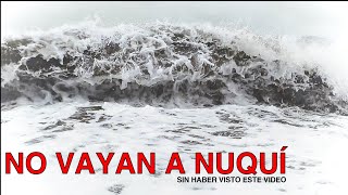 NO VAYAN A NUQUI sin haber visto Ballenas en este video [upl. by Pepe]