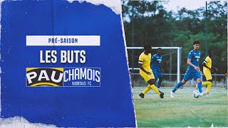 AMICAL 1  Pau FCChamois Niortais les buts des Chamois [upl. by Ailalue]