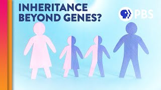 Is Epigenetic Inheritance Real [upl. by Amekahs685]