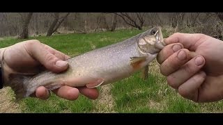 Trout fishing at Little Turkey in April 2017 [upl. by Jerald209]