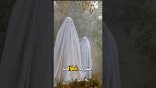 Are Ghosts Real A Scientific Investigation [upl. by Hgieliak599]